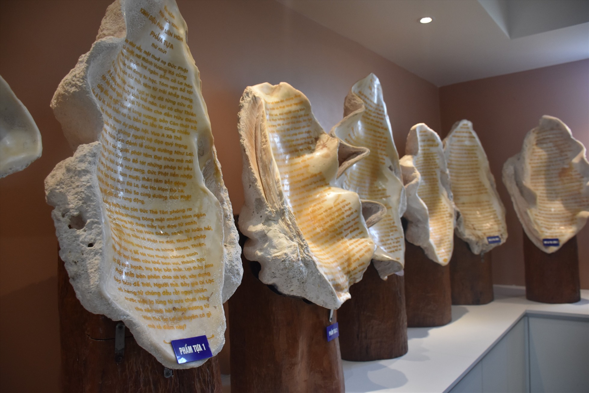 Bộ Kinh Bổn Môn Pháp Hoa được khắc trên những vỏ ốc Tai Tượng khổng lồ. Ảnh: Hoài Bão