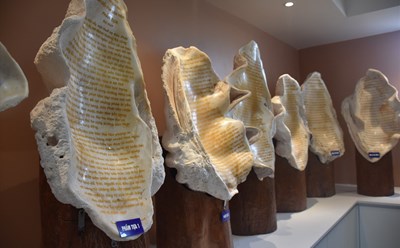 Bộ Kinh Bổn Môn Pháp Hoa được khắc trên những vỏ ốc Tai Tượng khổng lồ. Ảnh: Hoài Bão