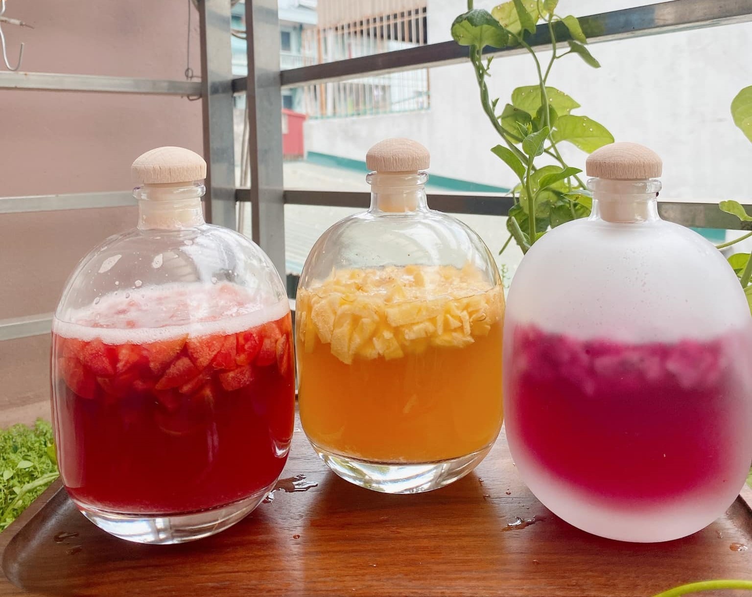 Trà Kombucha được lên men tự nhiên rất có lợi cho hệ tiêu hóa. Ảnh: Lều Thị Kim Ninh