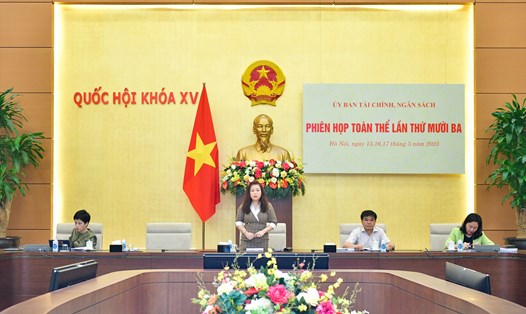 Phó Chủ nhiệm Ủy ban Tài chính – Ngân sách Vũ Thị Lưu Mai kết luận nội dung thảo luận. Ảnh: VPQH