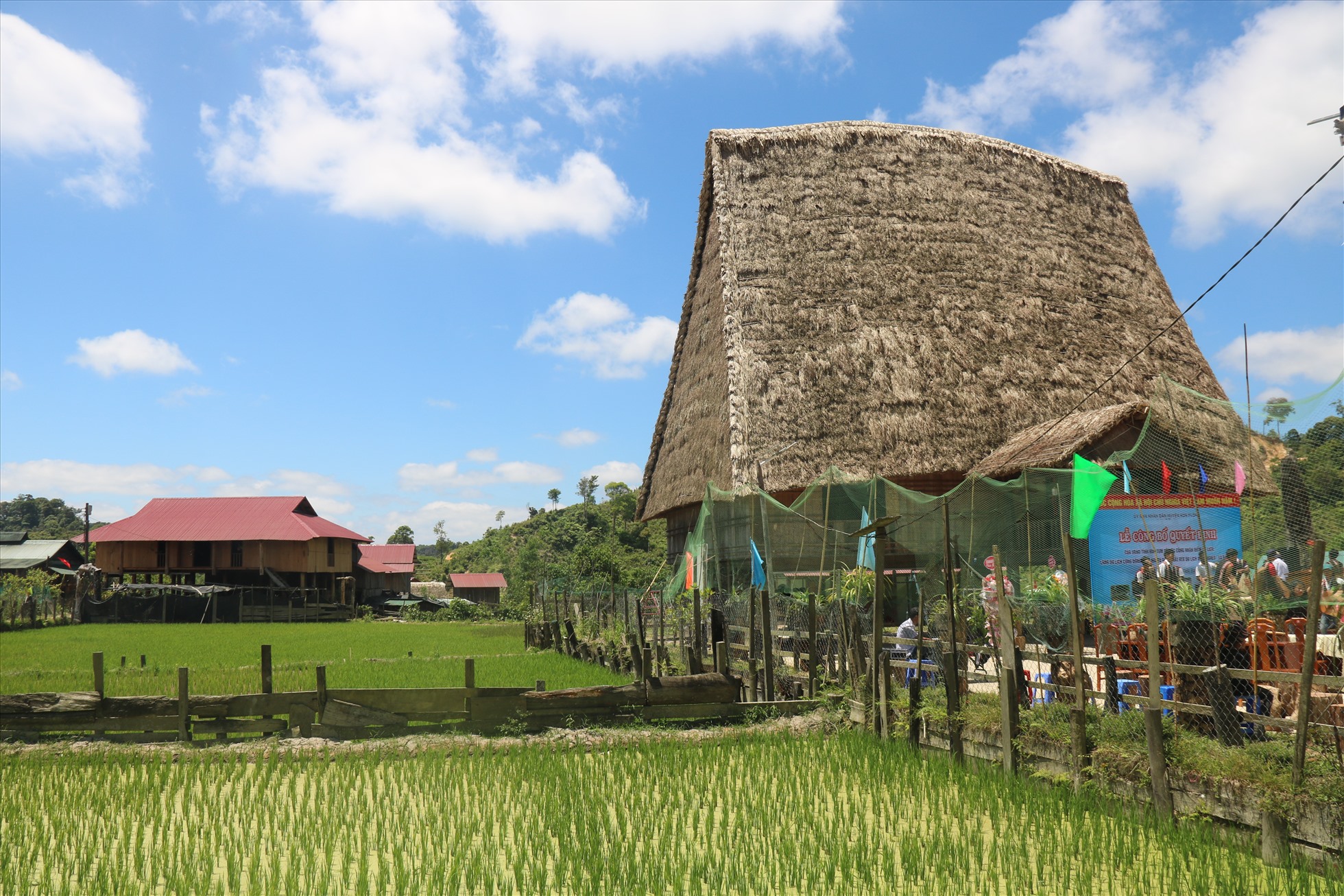 Nhà rông bên ruộng lúa của làng. Ảnh Thanh Tuấn