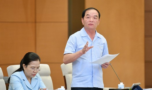 Ủy viên Thường trực Ủy ban Tài chính – Ngân sách Lê Thanh Vân phát biểu ý kiến. Ảnh: VPQH