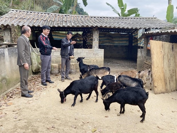 Nhờ kết hợp đa dạng các mô hình trong sản xuất nông nghiệp, gia đình anh Hồ Văn Trường ở bản Huổi Sen, xã Mường So, huyện Phong Thổ đã thoát khỏi diện hộ nghèo. Ảnh: TTXVN
