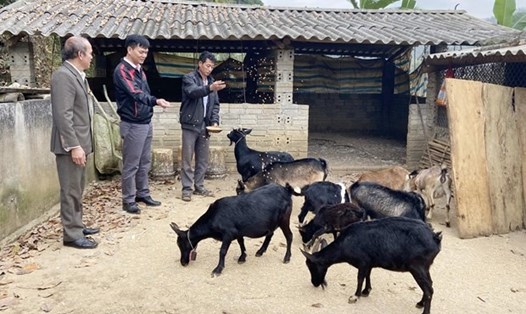 Nhờ kết hợp đa dạng các mô hình trong sản xuất nông nghiệp, gia đình anh Hồ Văn Trường ở bản Huổi Sen, xã Mường So, huyện Phong Thổ đã thoát khỏi diện hộ nghèo. Ảnh: TTXVN