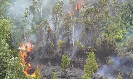 Các vụ cháy rừng đa phần do người dân đốt thực bì, đốt rác. Ảnh minh họa: Nguyên Thi
