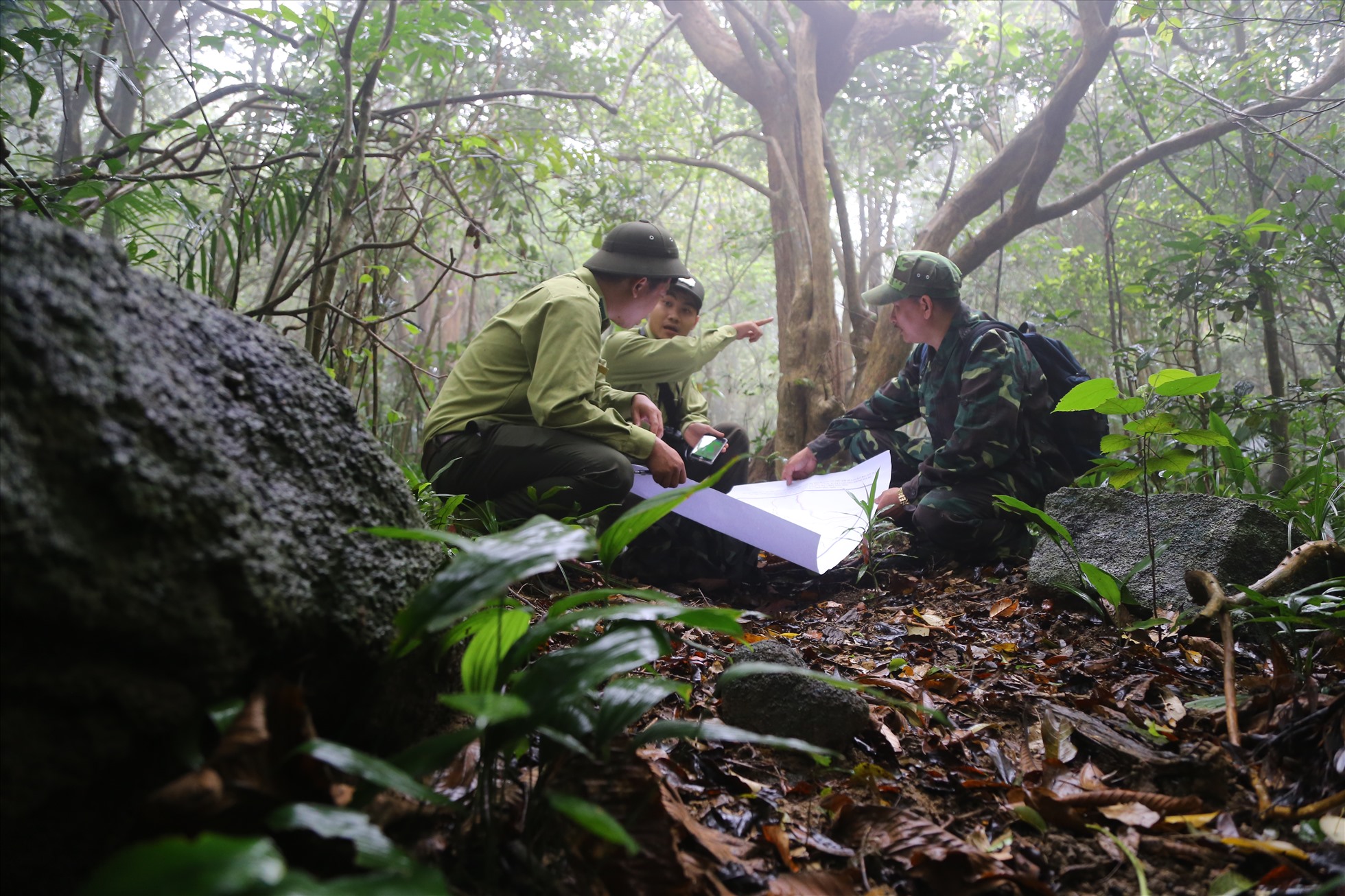 Độ che phủ rừng Đà Nẵng còn thấp, chưa điều chỉnh quy hoạch 3 loại rừng