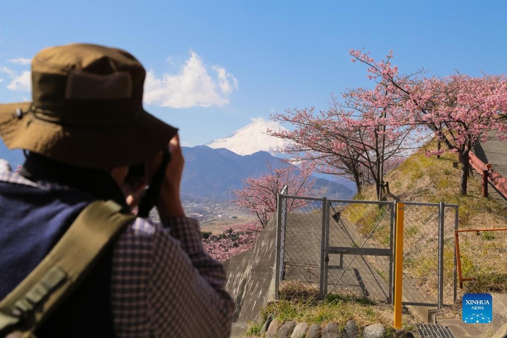 Công viên Nishihirabatake ở Kanagawa, Nhật Bản. Ảnh: Xinhua