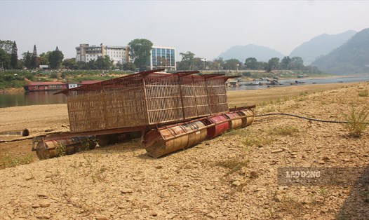 Đa phần những chiếc lồng nuôi cá trên sông Lô (phường Nông Tiến, TP Tuyên Quang) đã được đưa lên bờ từ nhiều tháng nay do nước sông cạn trơ đáy.