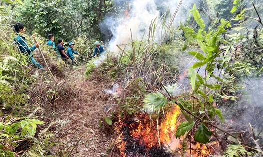 Vụ cháy rừng rừng tại huyện Đại Từ. Ảnh: Kiểm lâm cung cấp