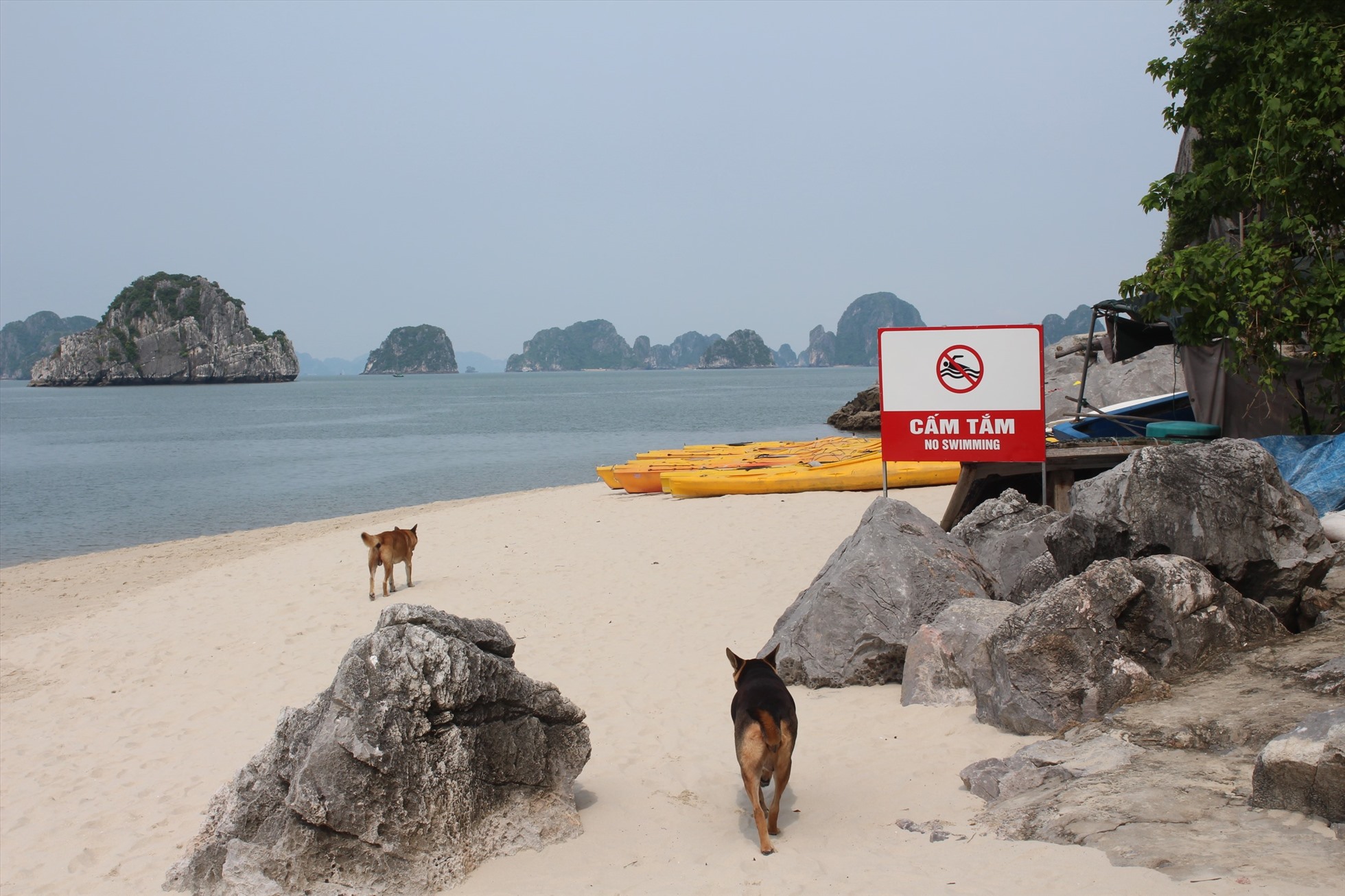 Một bãi tắm tuyệt đẹp giữa vịnh Hạ Long nhưng có biển cấm tắm. Ảnh: Nguyễn Hùng