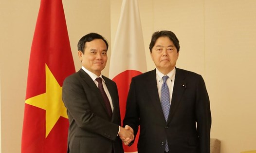 Phó Thủ tướng Trần Lưu Quang gặp Bộ trưởng Ngoại giao Nhật Bản Hayashi Yoshimasa. Ảnh: Bộ Ngoại giao