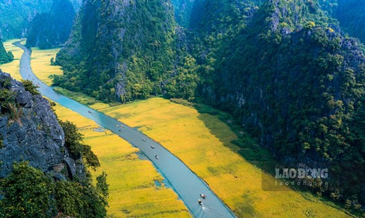Cánh đồng Tam Cốc (nằm trong Khu du lịch Tam Cốc tại xã Ninh Hải, huyện Hoa Lư, Ninh Bình) được vinh danh là 1 trong 5 cánh đồng lúa đẹp nhất Việt Nam. Ảnh: Diệu Anh