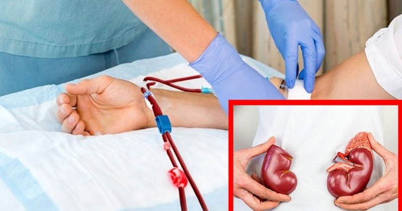 Những thói quen hằng ngày giúp thận khỏe mạnh hơn