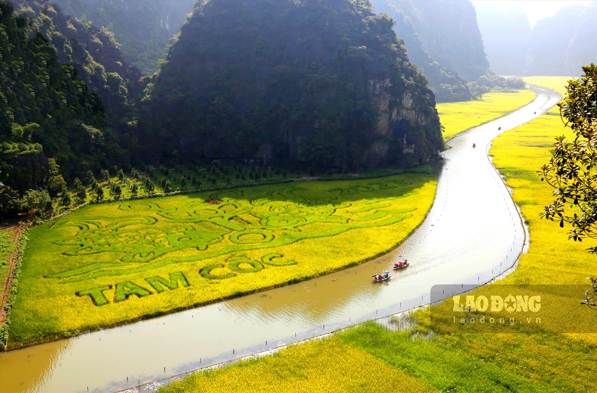 Hàng nghìn du khách ngồi thuyền ngắm đồng lúa như tranh vẽ ở Ninh Bình - 1