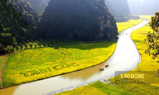 Cánh đồng Tam Cốc (nằm trong Khu du lịch Tam Cốc tại xã Ninh Hải, huyện Hoa Lư, Ninh Bình) được vinh danh là 1 trong 5 cánh đồng lúa đẹp nhất Việt Nam. Ảnh: Diệu Anh