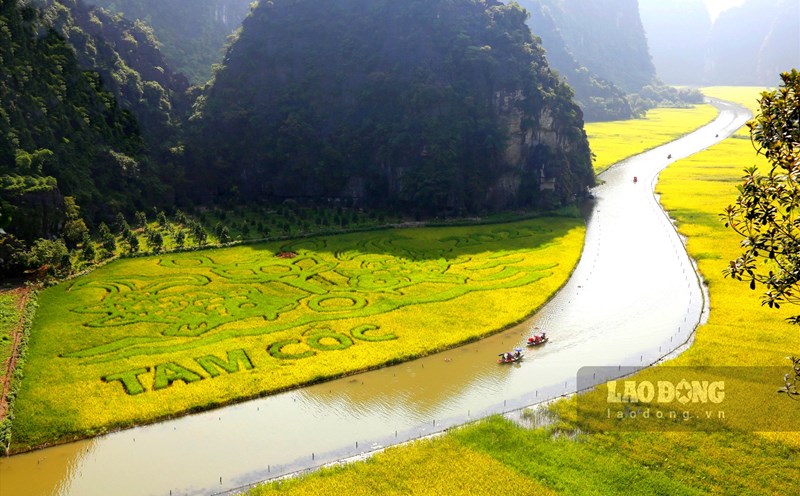 Cánh đồng Tam Cốc (nằm trong Khu du lịch Tam Cốc tại xã Ninh Hải, huyện Hoa Lư, Ninh Bình) được vinh danh là 1 trong 5 cánh đồng lúa đẹp nhất Việt Nam. Ảnh: Diệu Anh