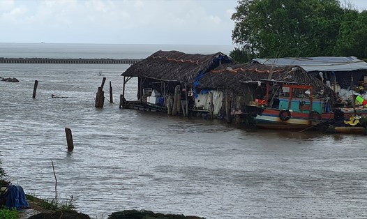 Tỉnh Cà Mau tăng cường ứng phó với siêu bão bão Mawar, sẵn sàng di dời nhà dân sống ven biển, ven sông. Ảnh: Nhật Hồ