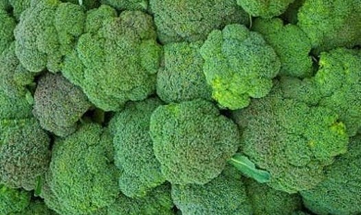 Bông cải xanh là một trong những thực phẩm có thể giúp cân bằng nội tiết tố nữ. Ảnh: Hải Yến