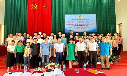 LĐLĐ huyện Cao Lộc tổ chức lễ ra mắt và Đại hội CĐCS Chi nhánh Công ty Cổ phần Vật liệu mài Hải Dương tại Lạng Sơn. Ảnh: Văn Huân