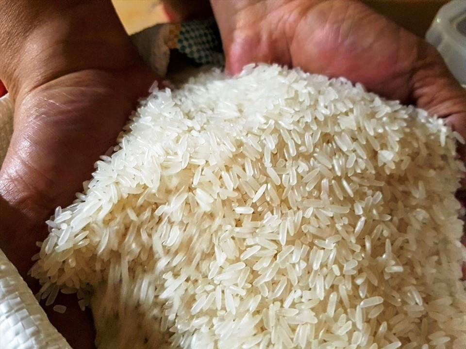 Do xuất khẩu với giá thấp hơn giá nhập, nhiều doanh nghiệp ngành gạo "càng xuất khẩu nhiều càng lỗ". Ảnh: Vũ Long