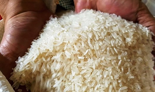 Do xuất khẩu với giá thấp hơn giá nhập, nhiều doanh nghiệp ngành gạo "càng xuất khẩu nhiều càng lỗ". Ảnh: Vũ Long
