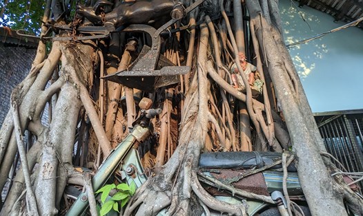 Chiếc xe vô tình “bị quên lãng" bên gốc cây si, tạo thành một tuyệt tác của tự nhiên.