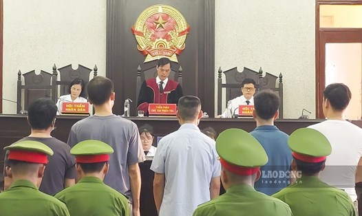 TAND tỉnh Điện Biên đã tuyên phạt 150 tháng tù cho 5 bị cáo trong vụ phá rừng trên đỉnh Pha Đin. Ảnh: Văn Thành Chương