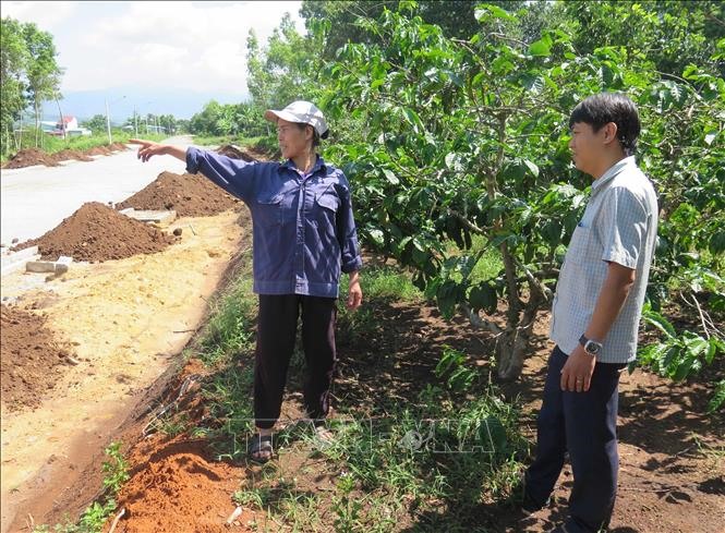 Bà Bùi Thị Thông hiến hơn 660 m2, trị giá hàng trăm triệu đồng cho chính quyền để làm đường. Ảnh: TTXVN