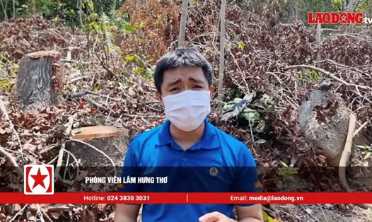 Phóng viên Hưng Thơ tác nghiệp tại hiện trường rừng tái sinh tự nhiên Hướng Sơn, tỉnh Quảng Trị.