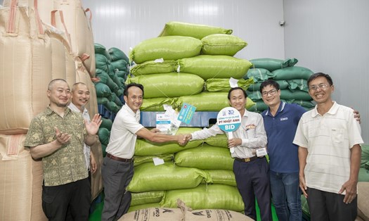 Công ty sản xuất cà phê PT Nhật Anh ở thành phố Hồ Chí Minh đã chi 700 triệu đồng để mua 2 tấn cà phê nhân Robusta đạt giải Vietnam Amazing Cup 2023. Ảnh: Đức Huy