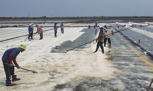 Tranh thủ từng giờ trước khi trời mưa, diêm dân huyện Hòa Bình, tỉnh Bạc Liêu thu hoạch muối. Ảnh: Nhật Hồ