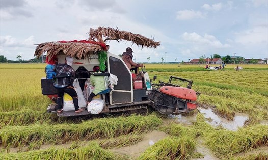 Công an huyện Nghi Xuân đã ra thông báo nghiêm cấm nạn bảo kê máy gặt trên địa bàn. Ảnh: Trần Tuấn.