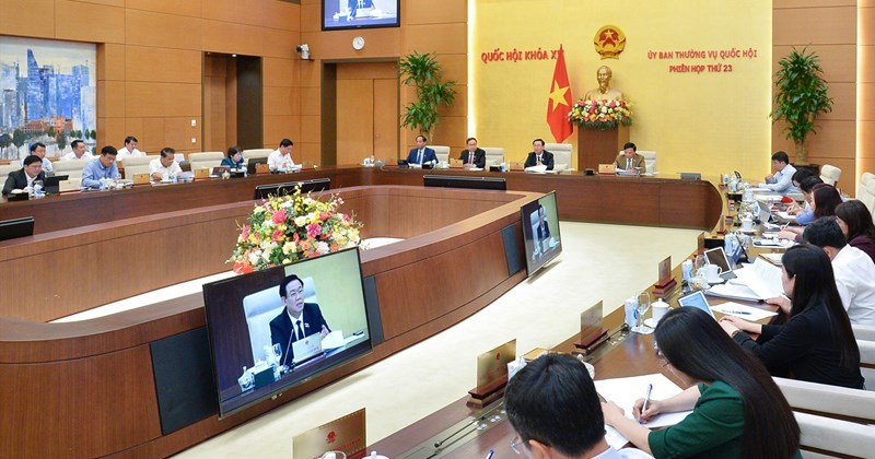 laodong.vn