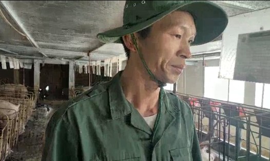 Nông dân Nguyễn Văn Hồng thăm đàn lợn nuôi thương phẩm tại trang trại của gia đình. Ảnh: Nam Hồng