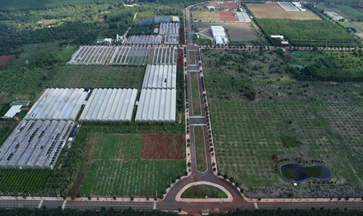 Các dự án xây lắp nhà màng của Sở Khoa học và Công nghệ tỉnh Đồng Nai, tại xã Xuân Đường, huyện Cẩm Mỹ. Ảnh: Hà Anh Chiến