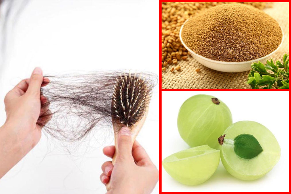 Quả lý gai, hạt cỏ cà ri được người Ấn Độ sử dụng để ngăn rụng tóc. Đồ họa: Ngọc Thùy