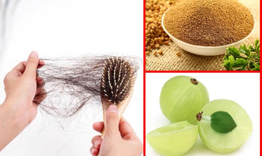 Quả lý gai, hạt cỏ cà ri được người Ấn Độ sử dụng để ngăn rụng tóc. Đồ họa: Ngọc Thùy