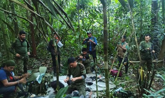 4 trẻ em sống sót trong rừng Amazon sau 40 ngày rơi máy bay đã được tìm thấy. Ảnh: Twitter Tổng thống Colombia