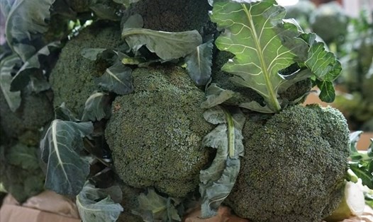 Bông cải xanh có đặc tính chống lão hóa vì hàm lượng lutein có thể giúp ngăn ngừa tổn thương oxy hóa. Ảnh: Thanh Thanh