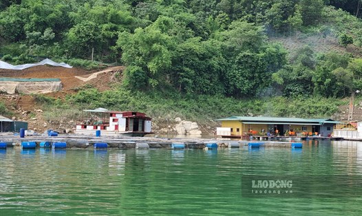 Điều kiện nuôi cá lồng trên lòng hồ Hòa Bình vẫn được đảm bảo. Ảnh: Minh Nguyễn