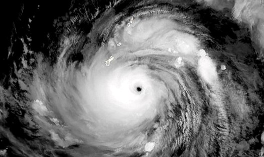 Tin tức 24h: Khả năng cao xuất hiện bão và áp thấp nhiệt đới trên biển Đông