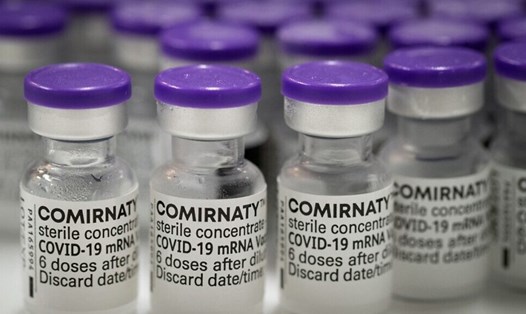 Vaccine Comirnaty của BioNTech. Ảnh: AFP