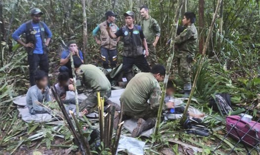 4 trẻ em mất tích trong rừng Amazon suốt 5 tuần được chó nghiệp vụ trong nhóm tìm kiếm của binh sĩ Colombia lần theo những dấu chân và tìm ra. Ảnh: Quân đội Colombia