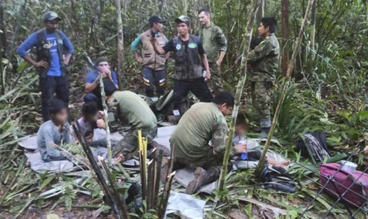 4 trẻ em mất tích trong rừng Amazon suốt 5 tuần được chó nghiệp vụ trong nhóm tìm kiếm của binh sĩ Colombia lần theo những dấu chân và tìm ra. Ảnh: Quân đội Colombia