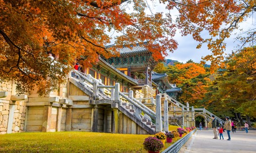 Tổng cục Du lịch Hàn Quốc xúc tiến nhiều hoạt động quảng bá du lịch vào nửa cuối năm 2023. Ảnh: KTO