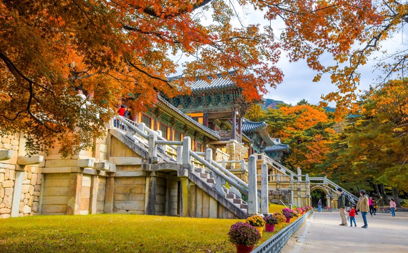 Tổng cục Du lịch Hàn Quốc xúc tiến nhiều hoạt động quảng bá du lịch vào nửa cuối năm 2023. Ảnh: KTO