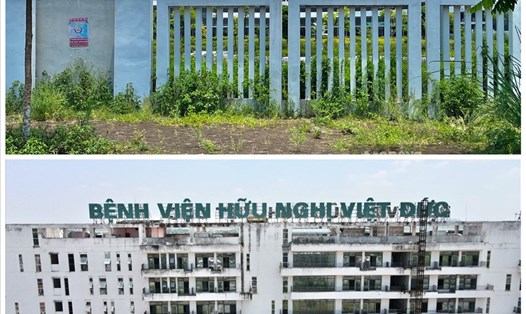 Cơ sở 2 của 2 Bệnh viện Bạch Mai và Bệnh viện Hữu nghị Việt Đức bị bỏ hoang, cỏ dại mọc kín lối đi. Ảnh: Thiều Trang