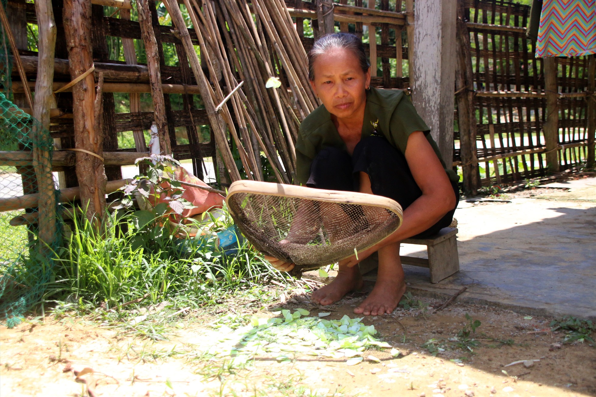 Bà Lô Thị Hải ở bản Xiềng Nứa (xã Yên Na huyện Tương Dương, Nghệ An) chế biến con bướm thành món ăn. Ảnh: Hà Thủy.