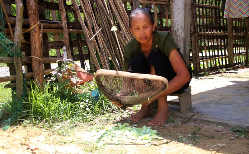 Bà Lô Thị Hải ở bản Xiềng Nứa (xã Yên Na huyện Tương Dương, Nghệ An) chế biến con bướm thành món ăn. Ảnh: Hà Thủy.