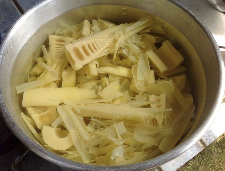 Bác sĩ khuyến cáo cần chế biến măng kỹ trước khi sử dụng. Ảnh: Bệnh viện cung cấp